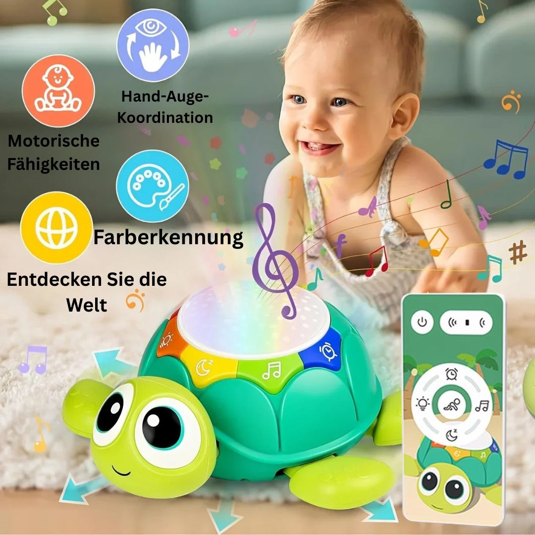 Lauflern-Schildkröte mit Musik & Projektor