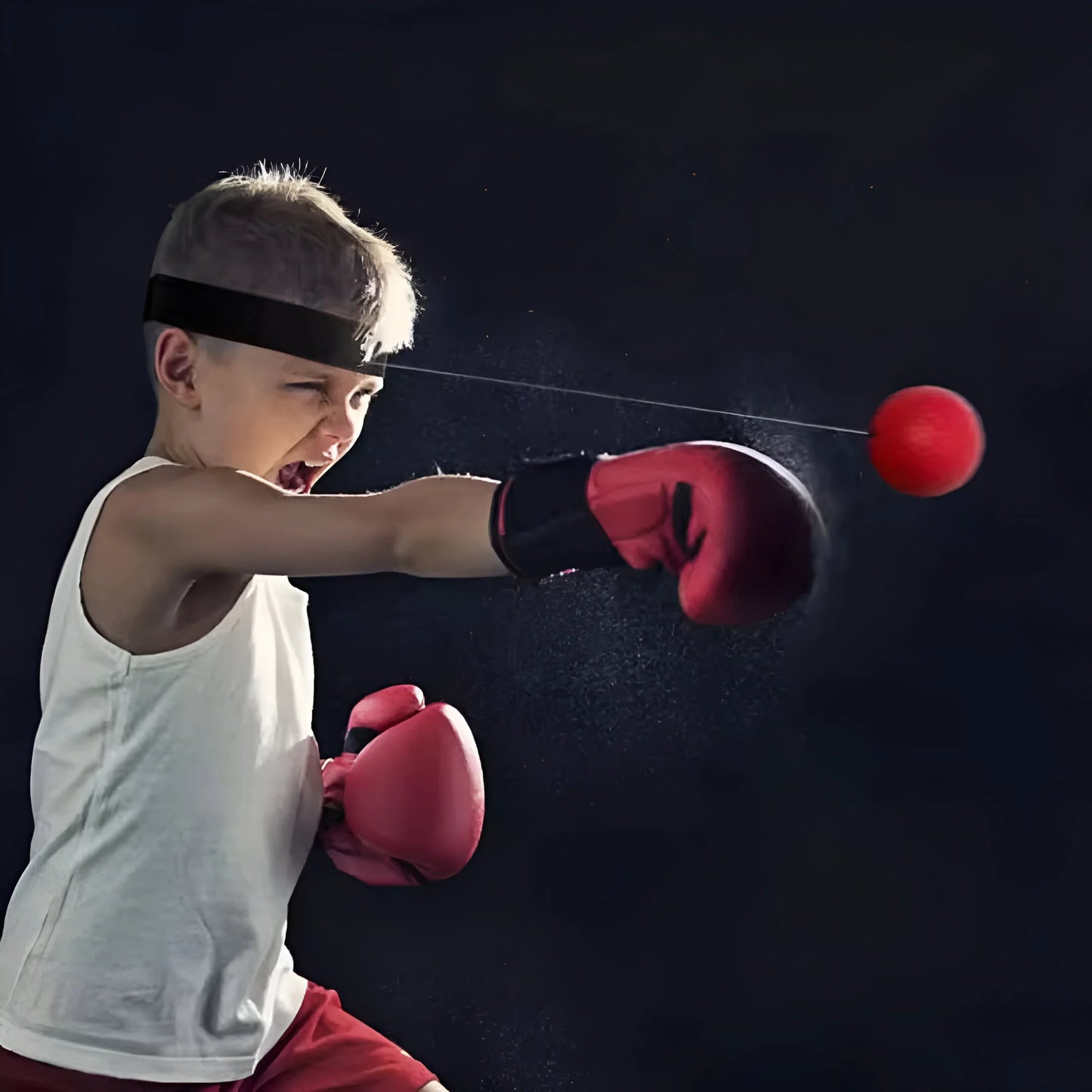 Box Reflex Trainingsball