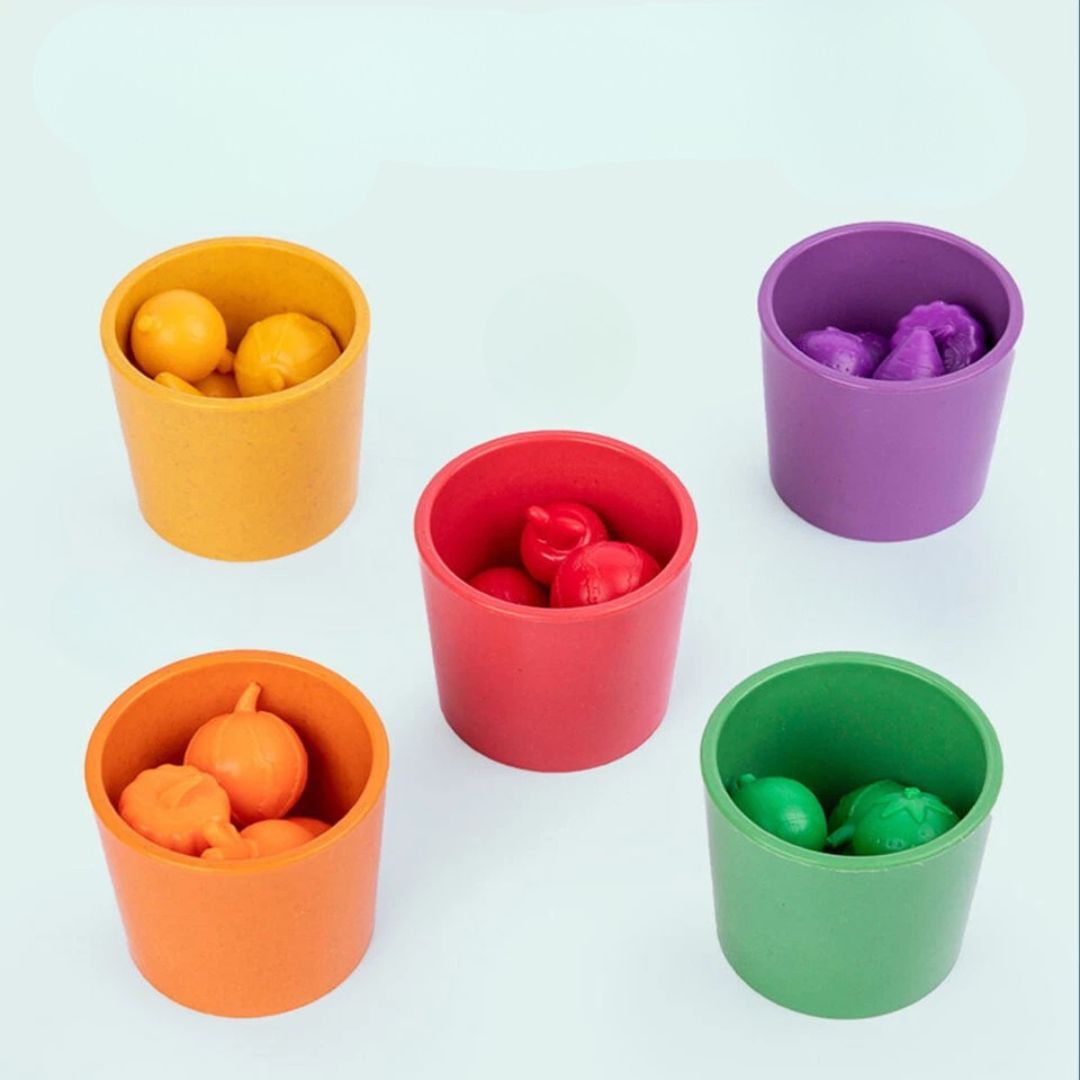 Montessori Farb-Sortier-Spiel