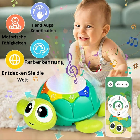 Lauflern-Schildkröte mit Musik & Projektor
