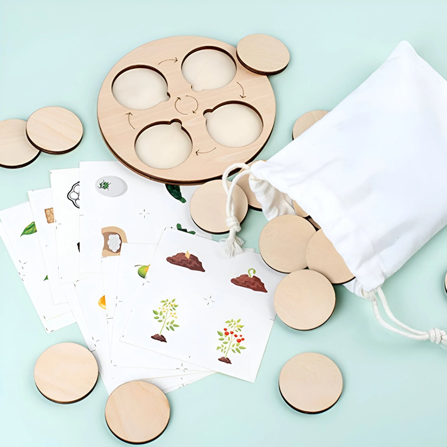 Naturzyklus – Pädagogisches Puzzle