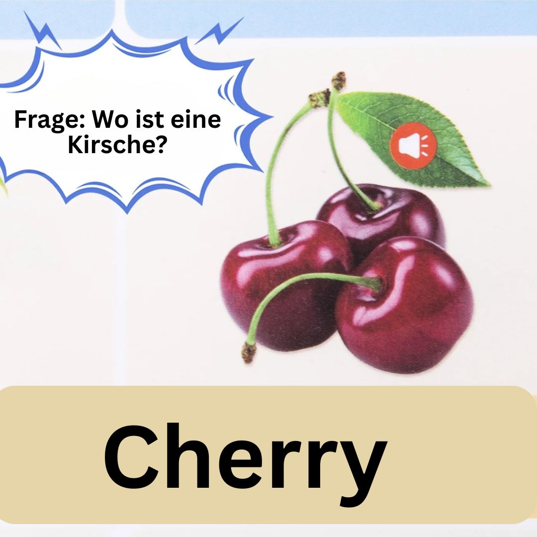 EarlyEnglish - Frühkindliches Lernbuch auf englisch