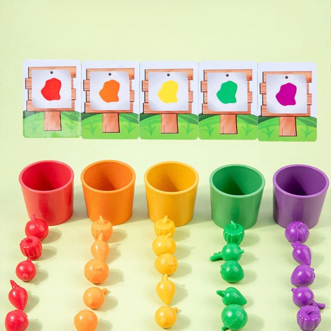 Montessori Farb-Sortier-Spiel