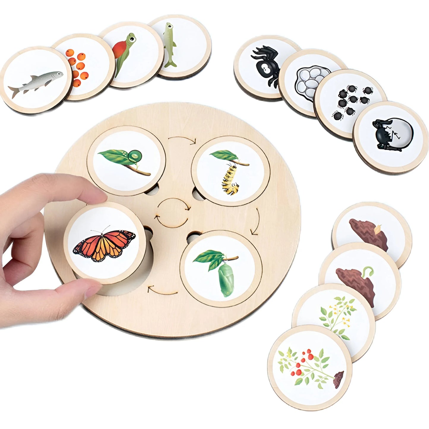 Naturzyklus – Pädagogisches Puzzle