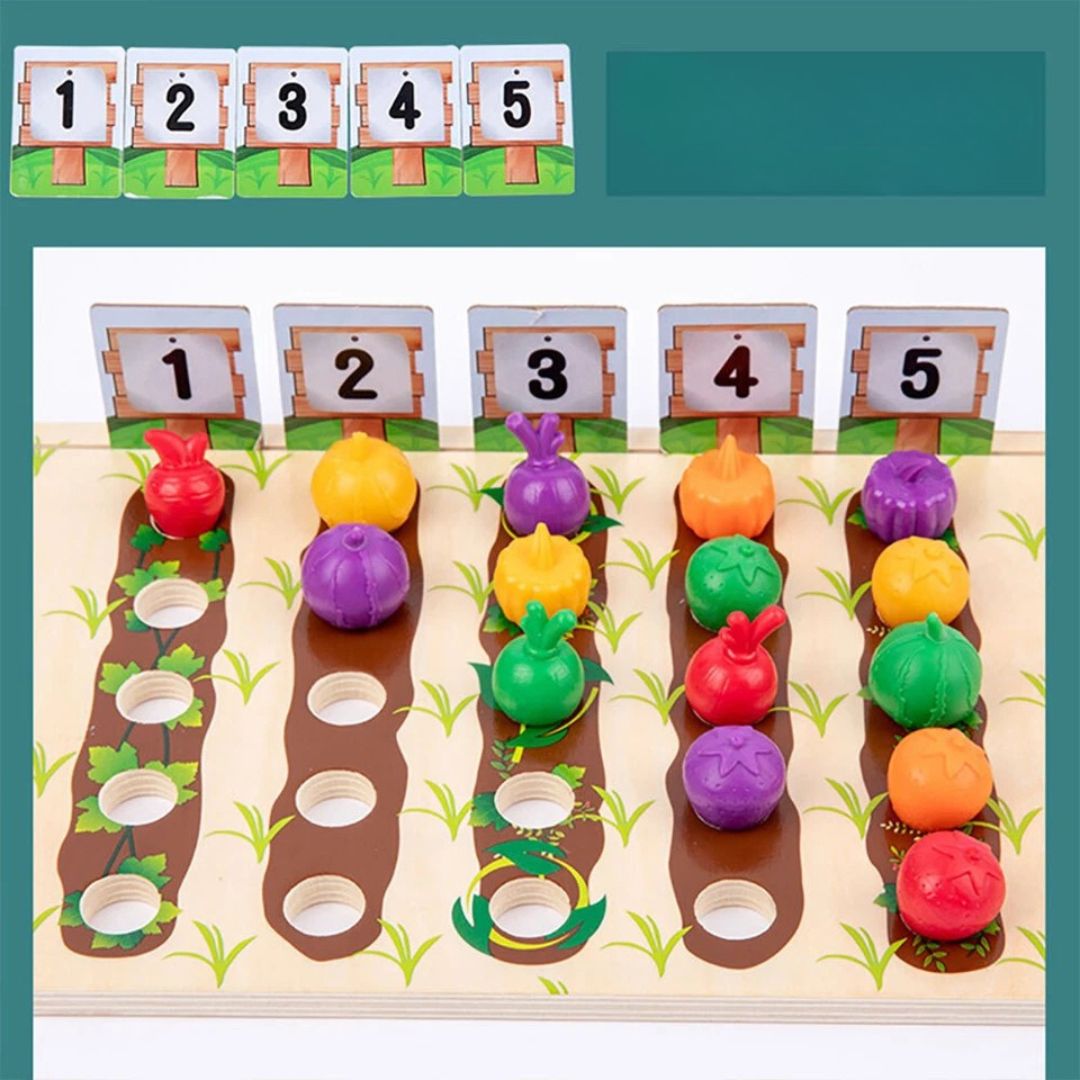 Montessori Farb-Sortier-Spiel