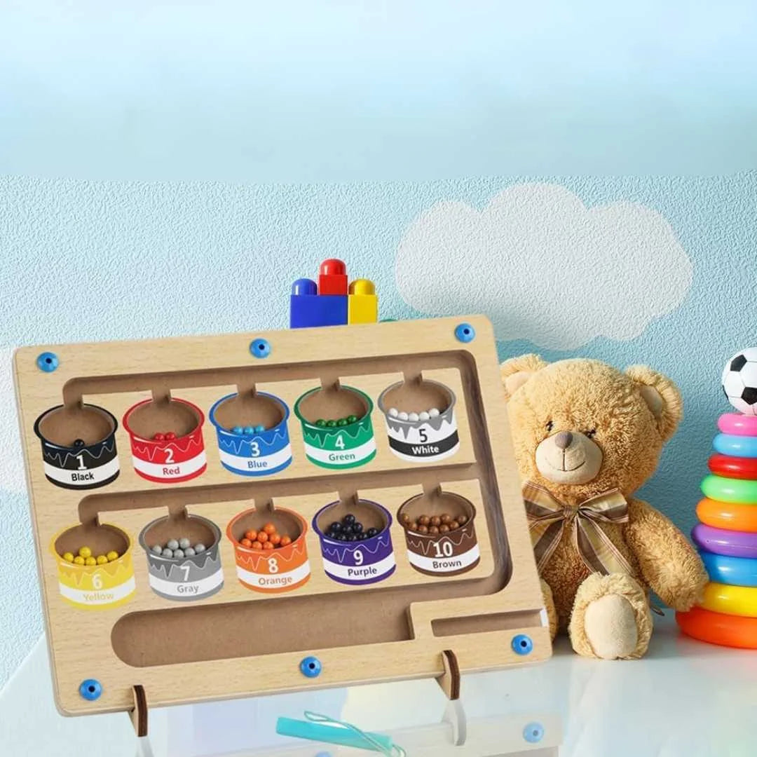 Montessori Farb-Sortier-Spiel