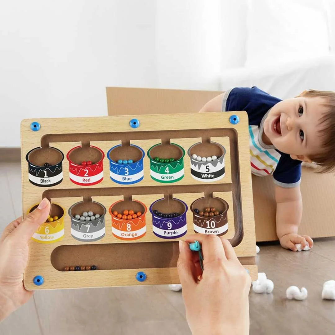 Montessori Farb-Sortier-Spiel